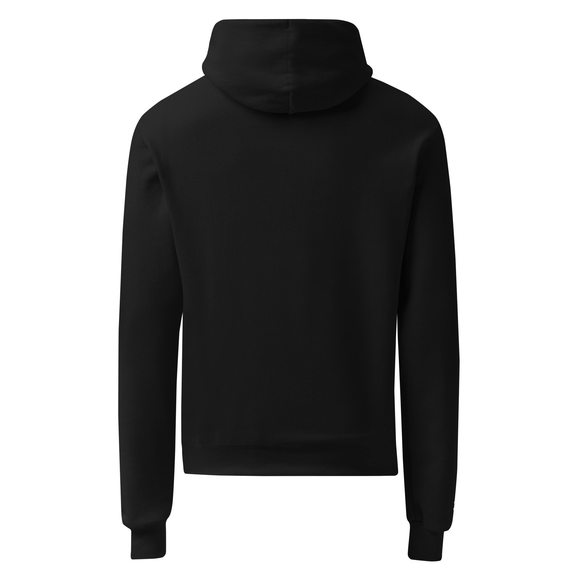 Standalone × Champion Hoodie - Image 2